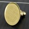 Kingston Brass Brass Shower Head, Brushed Brass P10SB - alternate 2